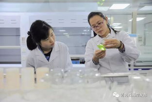 新區(qū)再添國家CNAS認證實驗室，檢驗檢測服務(wù)能力再上新臺階